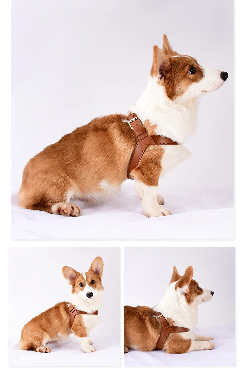 Avelena | Stylische Pu-Leder Hundegeschirr für Ausflüge