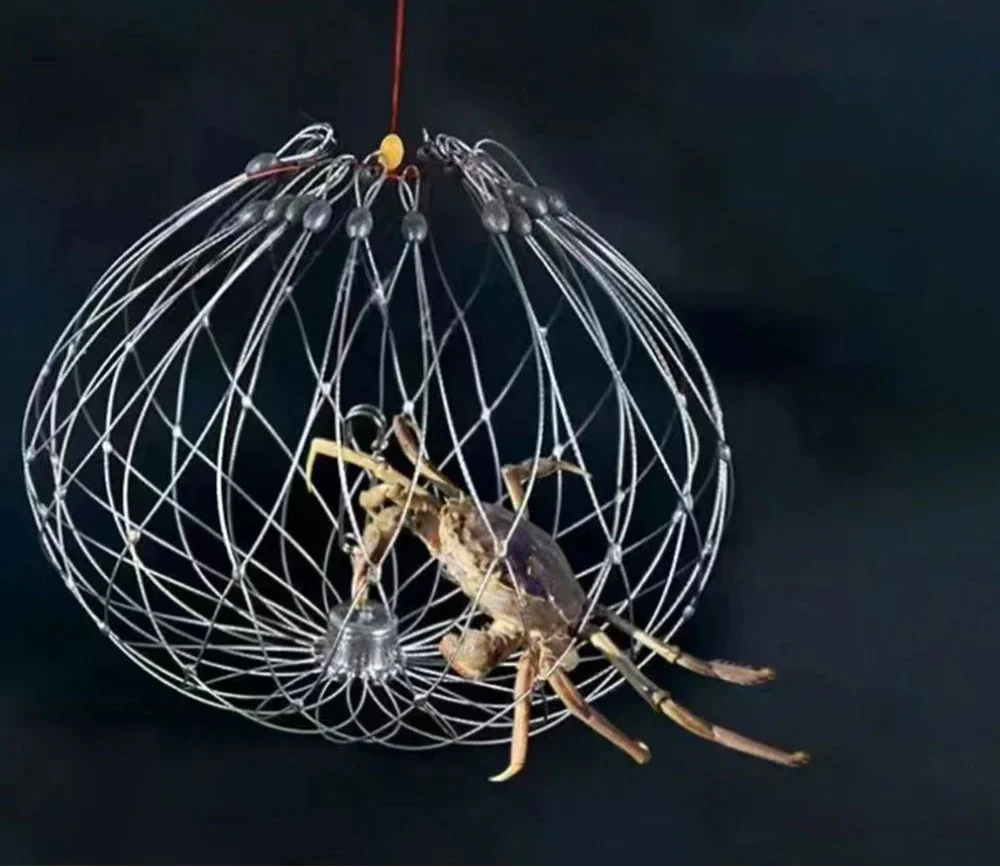 Avelena | AutoTrap Fischernetz Käfig