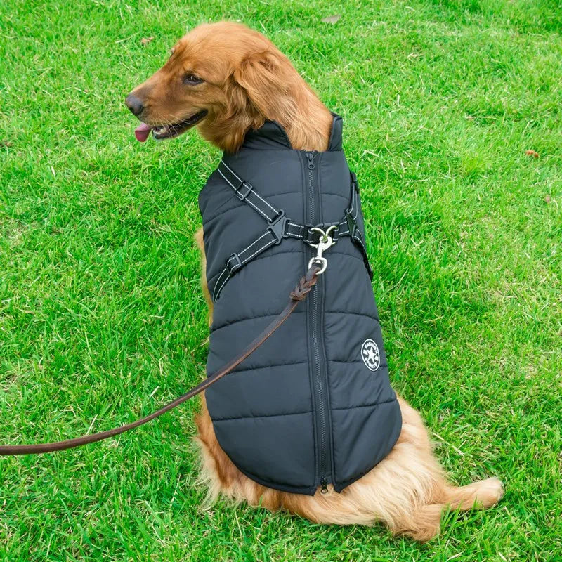 Avelena | Dogfrei Jacke Wasserdichte Winterjacke mit Eingebautem Geschirr
