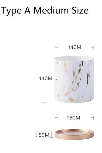 Avelena | Marmor Goldblatt Pflanzen Topf Set