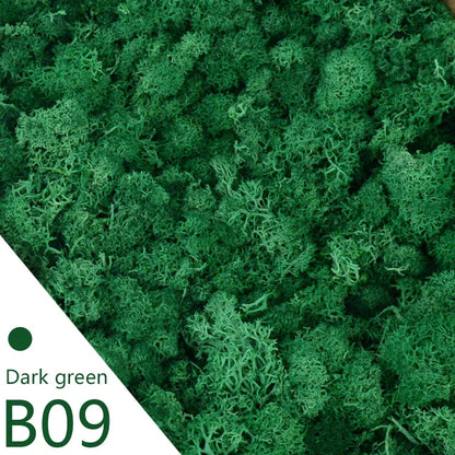 Avelena | Immortal Moss Green Künstliche Pflanze Zuhause Garten Deko