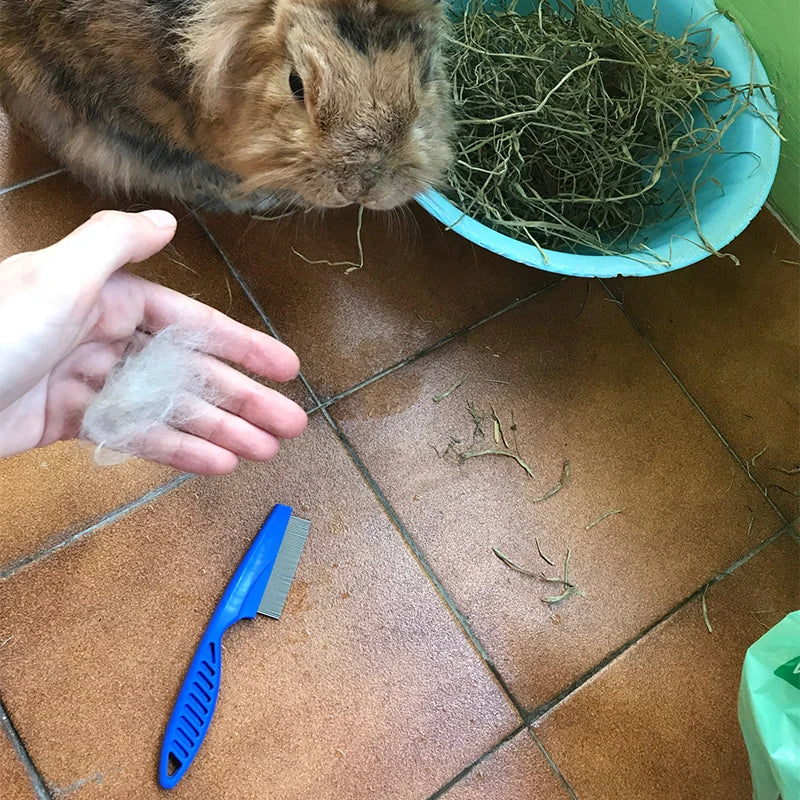 Avelena | Katzen- und Hunde Bürste und Flohkamm Set
