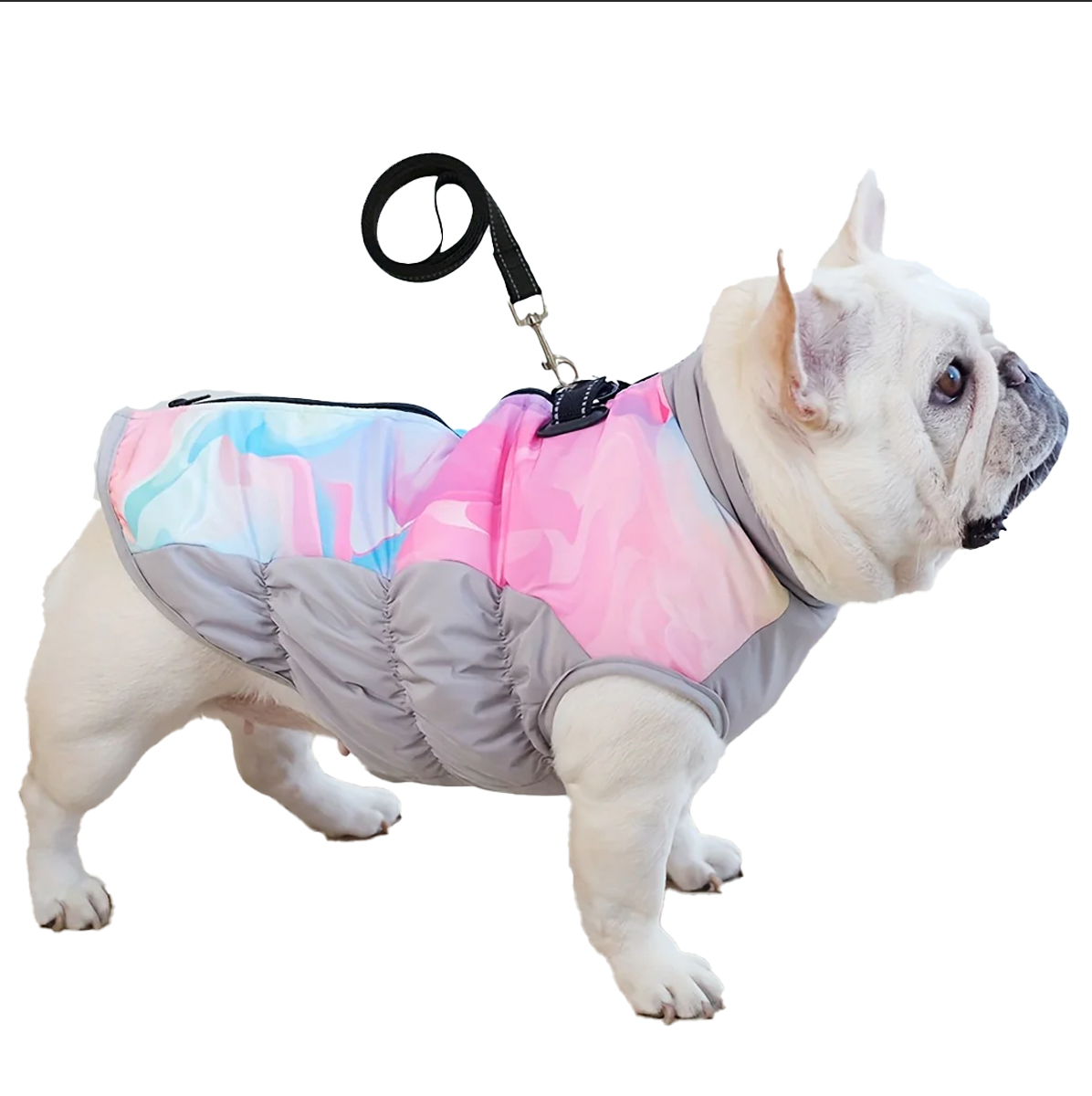Avelena | Arcticpaw Frenchie Warme Jacke Wasserdicht Winter Gemütliche Jacke Mit Leine Seil