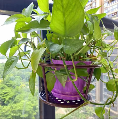 Avelena | 3Pc Über den Balkon BlumenTopfhalter SchwarzNov