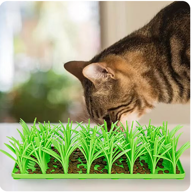 Avelena | Wagsnuff Gras Snuffle Matte für Hunde und Katzen