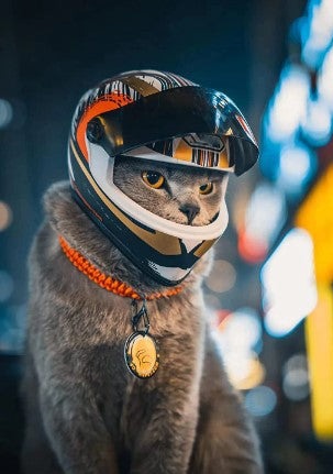 Avelena | Waghelmet Motorradkopfsschutz - Nur für Katzen und Kleine Rassewelpen