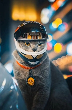 Avelena | Waghelmet Motorradkopfsschutz - Nur für Katzen und Kleine Rassewelpen