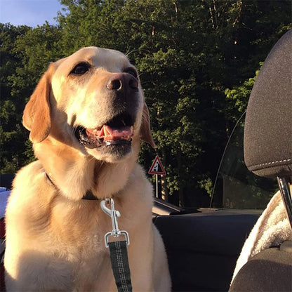 Avelena | Reflektierendes Hundegeschirr und Leinenkombination