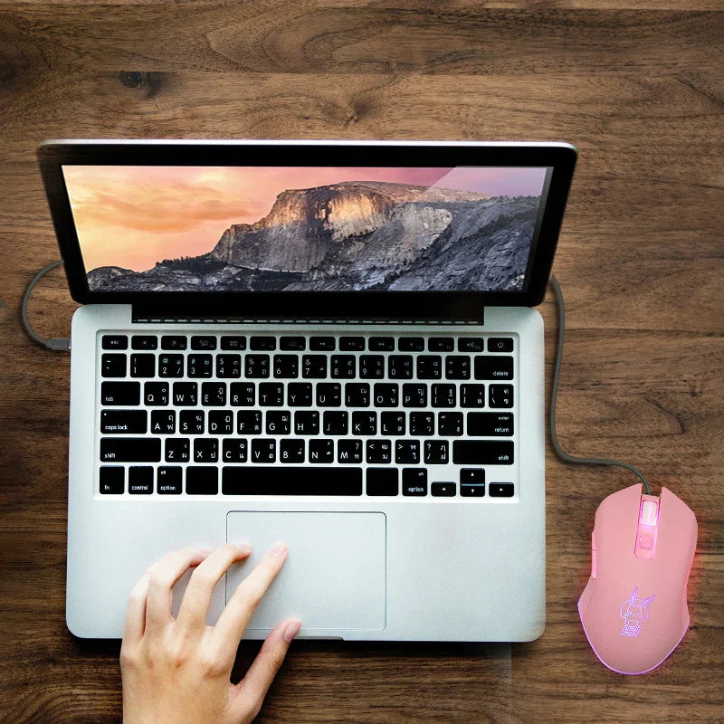 Avelena | Farbig Leuchtende Usb-C Gaming Maus