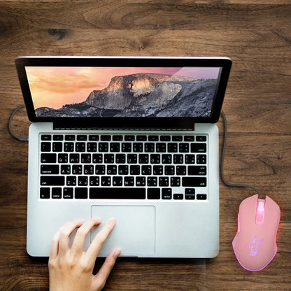 Avelena | Farbig Leuchtende Usb-C Gaming Maus
