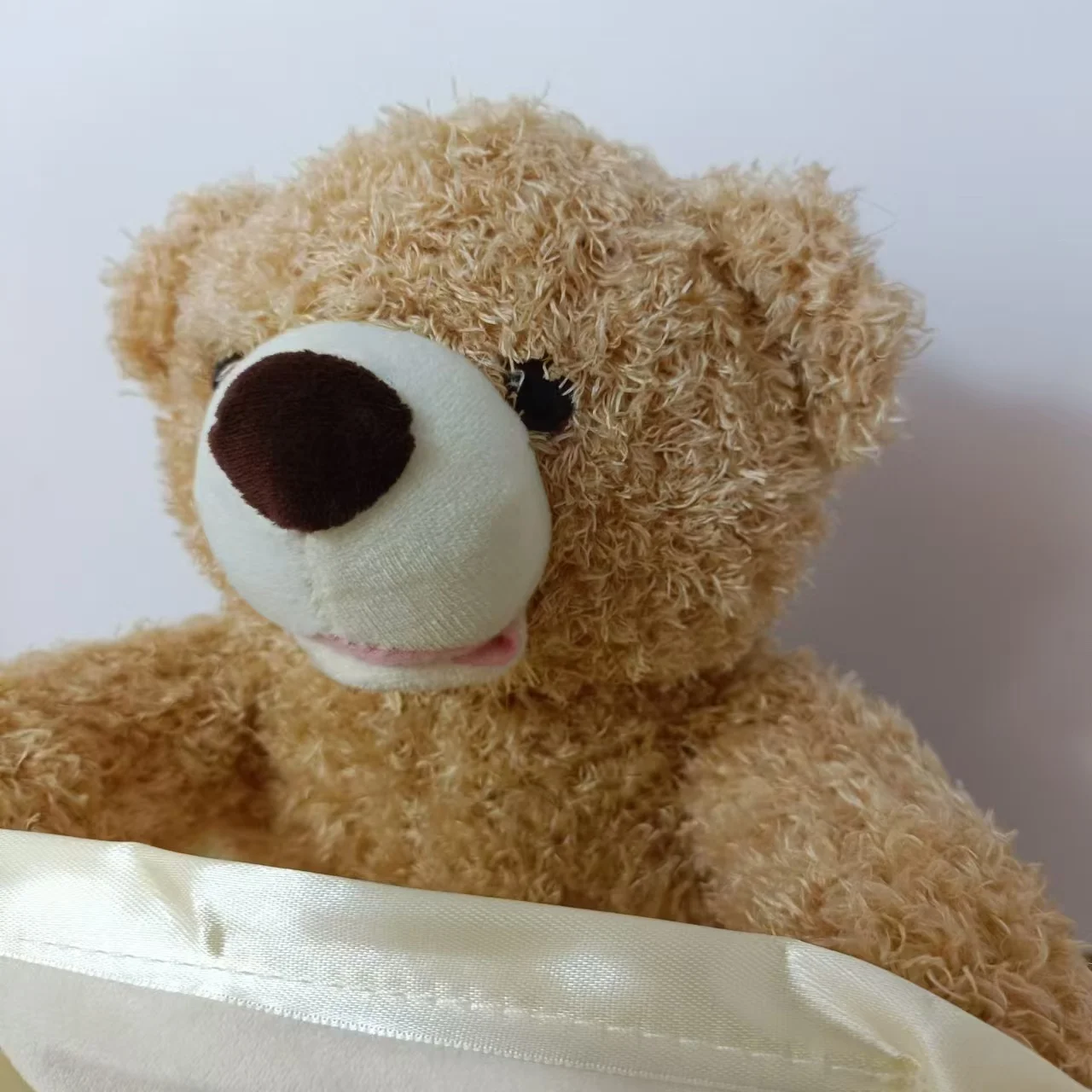 Avelena | SnuggleBuddy Peek-a-Boo Bär | Interaktives sprechendes Plüschtier für Babys & Kleinkinder