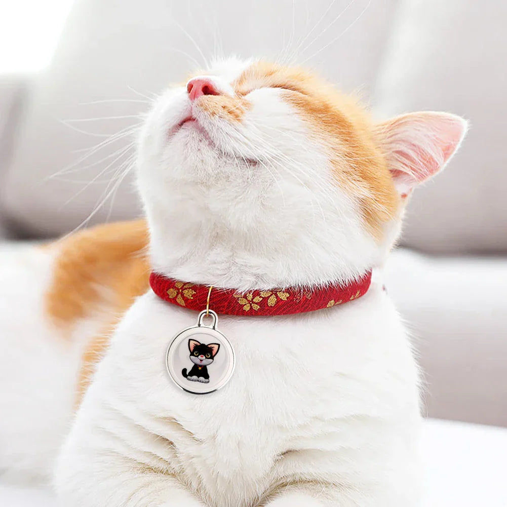 Avelena | GeoPaw | Smarte Tierverfolgung mit globaler Platzierung