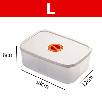 Avelena | Bento Lunchbox – Lebensmittelbehälter Mit Fächern