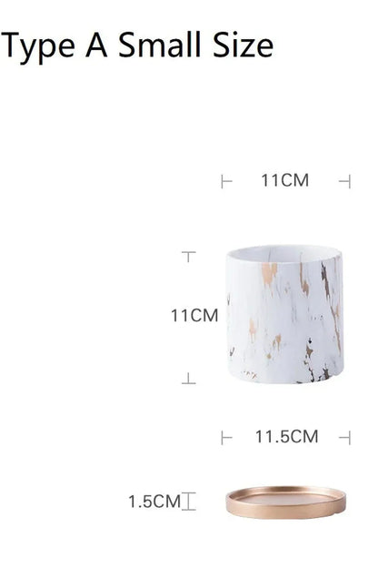 Avelena | Marmor Goldblatt Pflanzen Topf Set