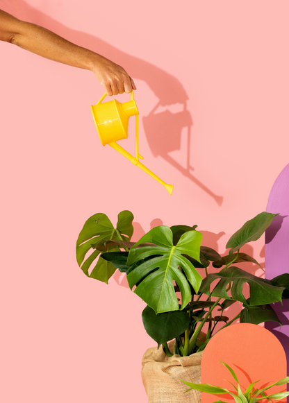 Avelena | Haws Handy Gießkanne