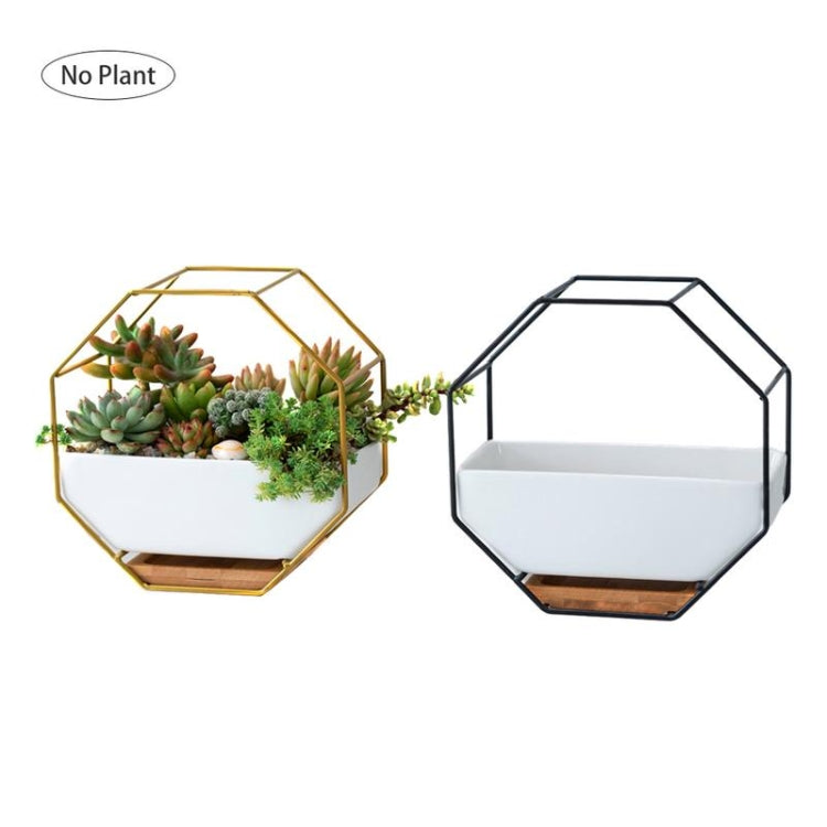 Avelena | Einfaches octagonales geometrisches Wandhängen Tisch Sukkulenten Platauf bamboo Unterstützung Eisenrahmen Blumentopf (schwarz)