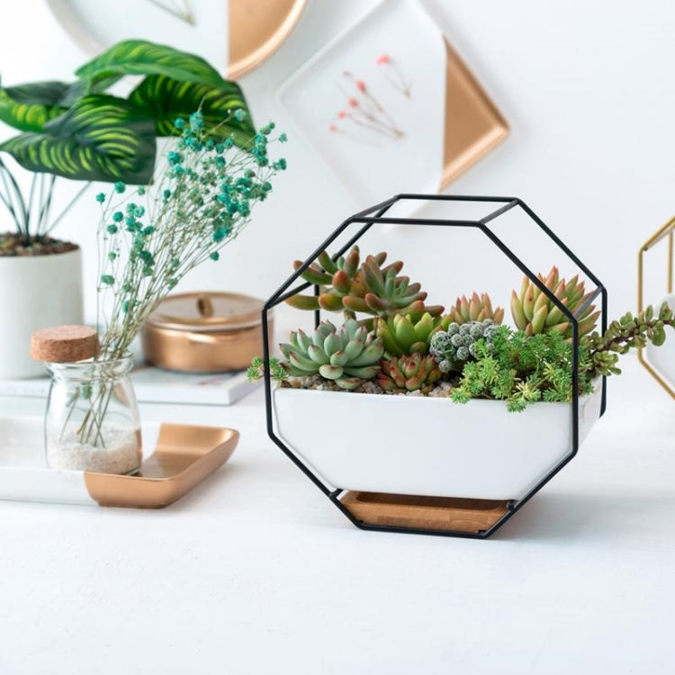 Avelena | Einfaches octagonales geometrisches Wandhängen Tisch Sukkulenten Platauf bamboo Unterstützung Eisenrahmen Blumentopf (schwarz)