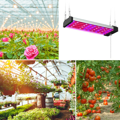 Avelena | LED-Wachstumslampe Vollspektrum Pflanzenlicht-Röhre, Stil: Kleine Doppelreihe 100 cm (EU-Stecker)