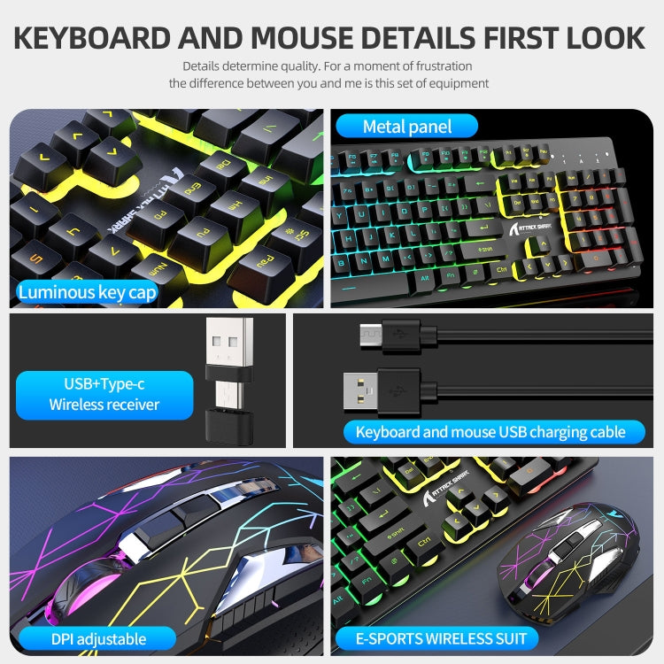 Avelena | Angriffshaifisch T3RGB RGB Leuchtende Kabellose Tastatur und Maus Set (Schwarz)