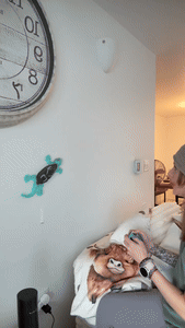 Avelena | RC Wandkrabbler Spielzeug