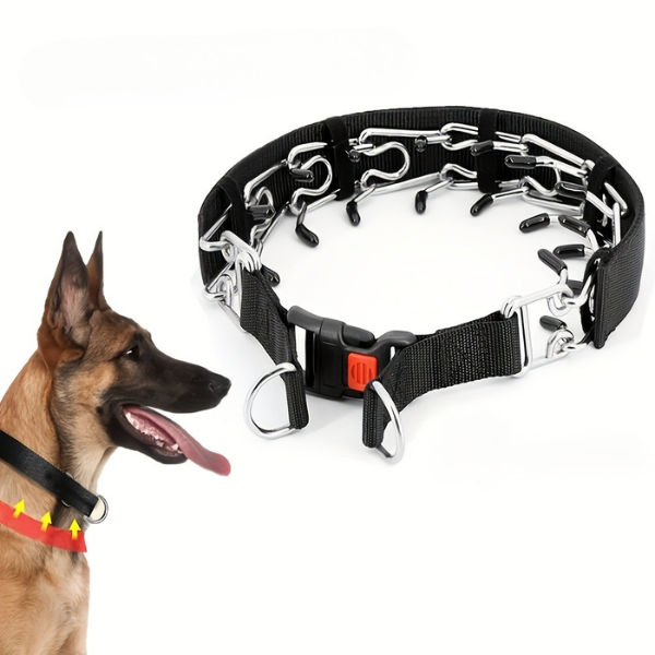 Avelena | WalkControl | Hundehalsband für das Leinefreie Spazierengehen mit Schnellverschluss