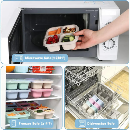 Avelena | Bento-Style 4-Fach Meal-Prep-Boxen im 4er-Pack – Nachhaltig und Praktisch