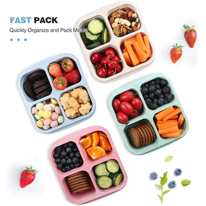 Avelena | Bento-Style 4-Fach Meal-Prep-Boxen im 4er-Pack – Nachhaltig und Praktisch