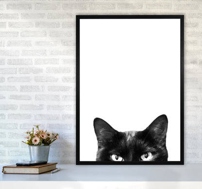 Avelena | Schwarze Katze Fotografie Druck von Victoria Frost