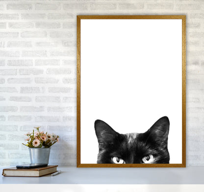 Avelena | Schwarze Katze Fotografie Druck von Victoria Frost
