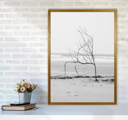 Avelena | Strand Skulptur Fotografie Druck von Victoria Frost