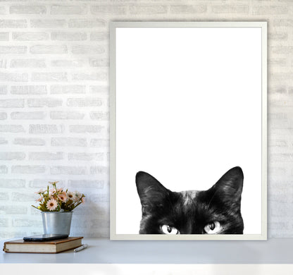 Avelena | Schwarze Katze Fotografie Druck von Victoria Frost