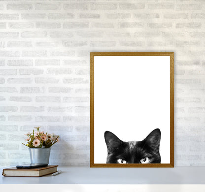 Avelena | Schwarze Katze Fotografie Druck von Victoria Frost