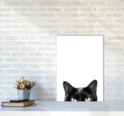 Avelena | Schwarze Katze Fotografie Druck von Victoria Frost