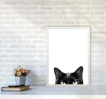 Avelena | Schwarze Katze Fotografie Druck von Victoria Frost