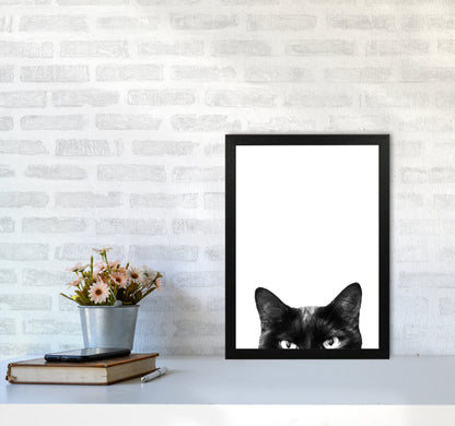 Avelena | Schwarze Katze Fotografie Druck von Victoria Frost