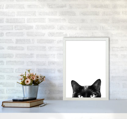 Avelena | Schwarze Katze Fotografie Druck von Victoria Frost