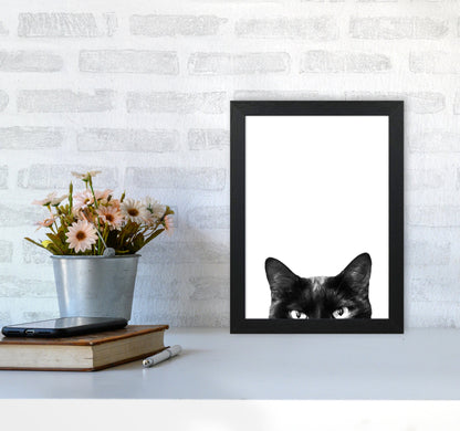 Avelena | Schwarze Katze Fotografie Druck von Victoria Frost