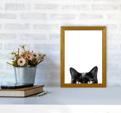 Avelena | Schwarze Katze Fotografie Druck von Victoria Frost