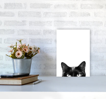 Avelena | Schwarze Katze Fotografie Druck von Victoria Frost