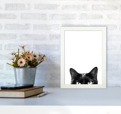 Avelena | Schwarze Katze Fotografie Druck von Victoria Frost