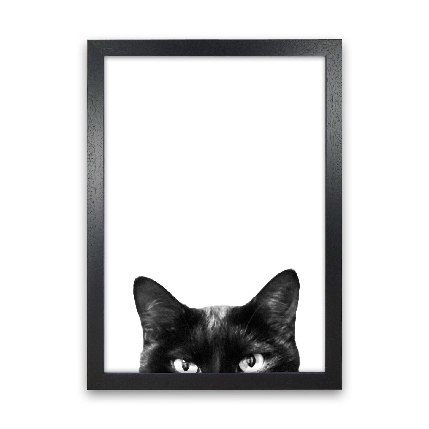Avelena | Schwarze Katze Fotografie Druck von Victoria Frost