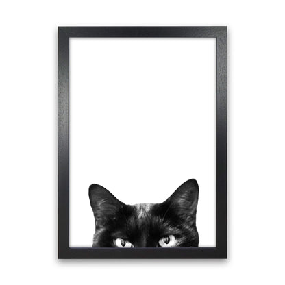 Avelena | Schwarze Katze Fotografie Druck von Victoria Frost