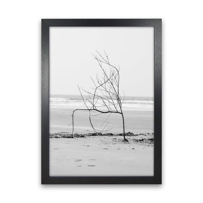 Avelena | Strand Skulptur Fotografie Druck von Victoria Frost