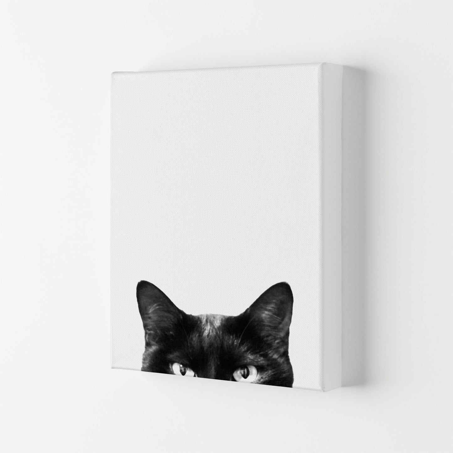 Avelena | Schwarze Katze Fotografie Druck von Victoria Frost