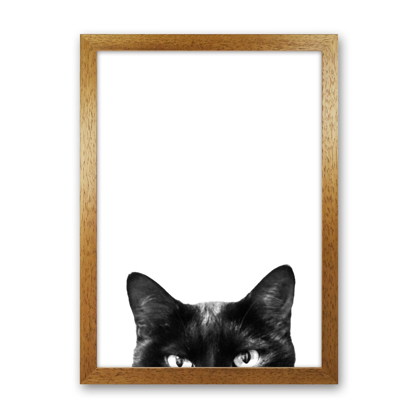 Avelena | Schwarze Katze Fotografie Druck von Victoria Frost