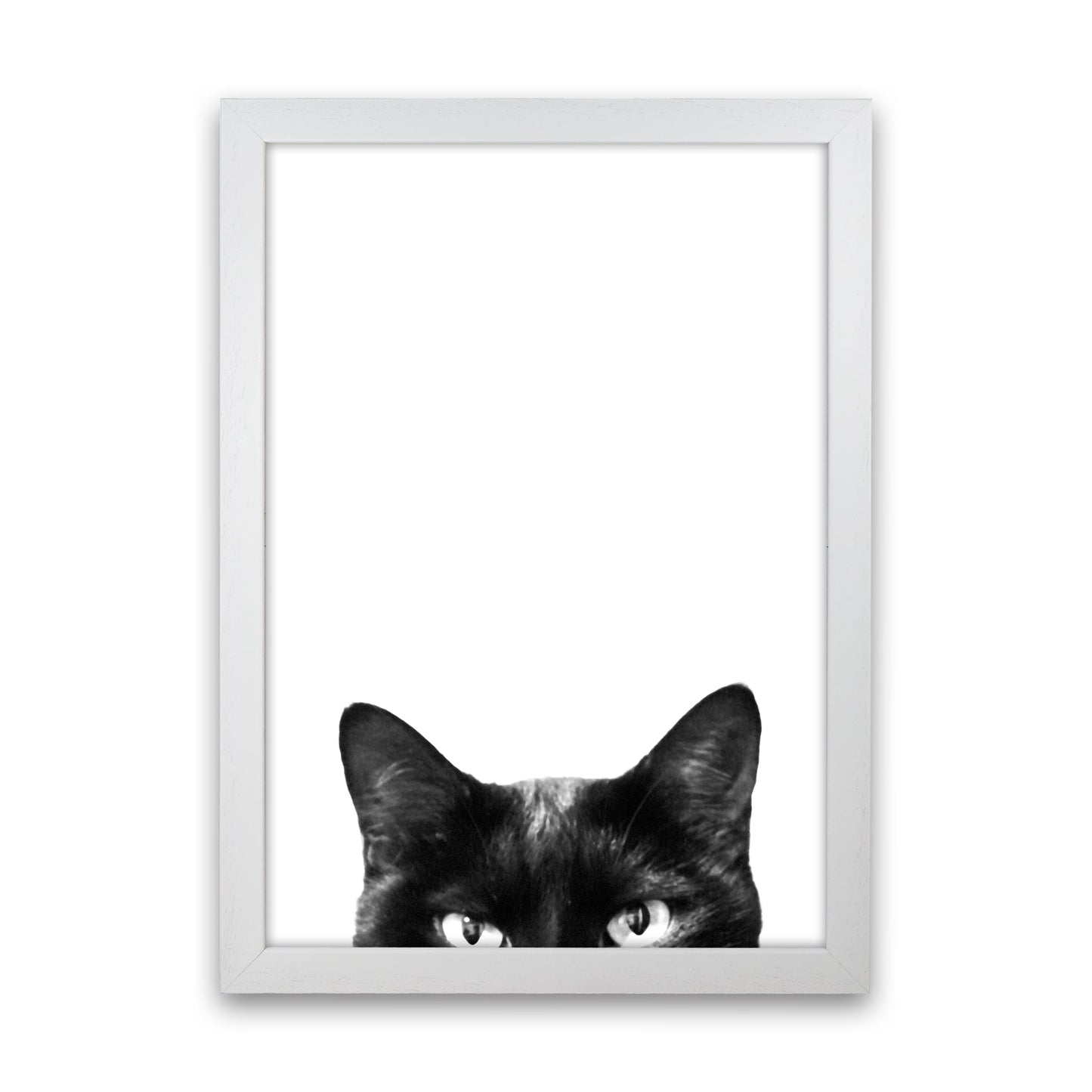 Avelena | Schwarze Katze Fotografie Druck von Victoria Frost