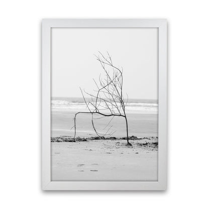 Avelena | Strand Skulptur Fotografie Druck von Victoria Frost