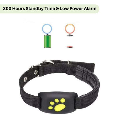 Avelena | #1 Finde GPS Katzen Tracker mit Echtzeit-Standort, wasserdichtem Design und Aktivitätsüberwachung für Sicherheit und Tracking von Haustieren