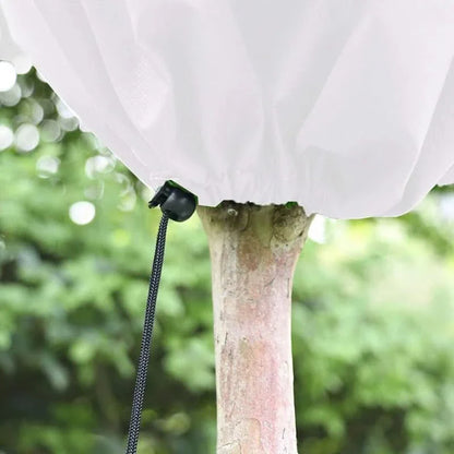 Avelena | COEN – Einfache und umweltfreundliche Abdeckung