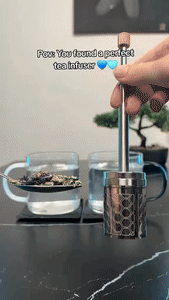 Avelena | Edelstahl Wiederverwendbarer Press Tee-Filter